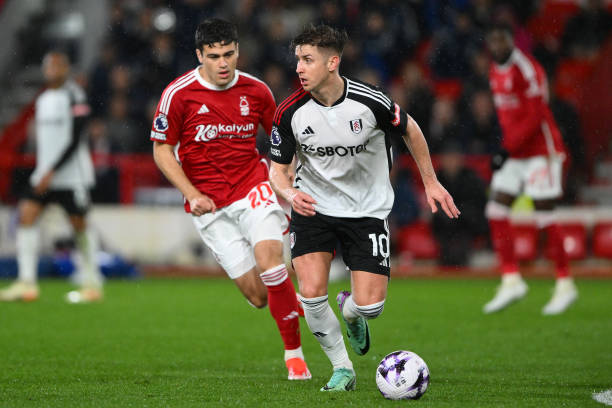 无疑会引发 无疑会引发