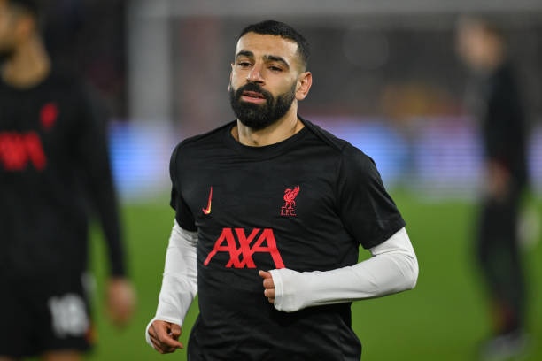 也同樣頑強 也同樣頑強